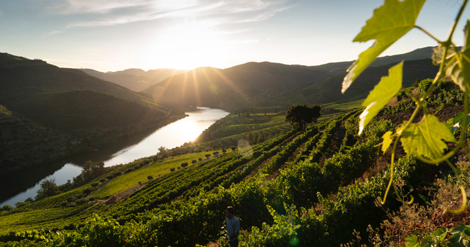 Quinta de S. Jose
