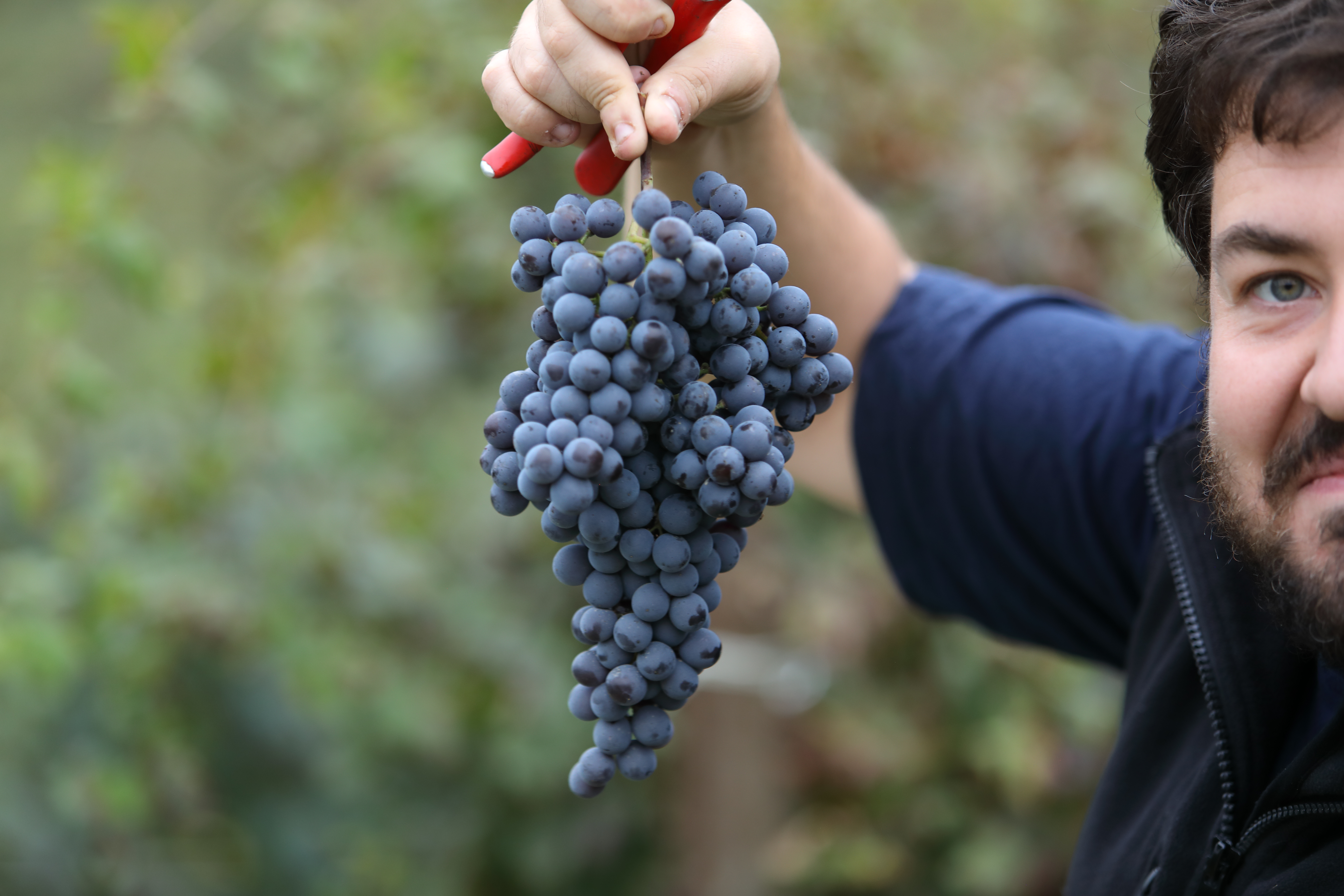 Trediberri Barolo